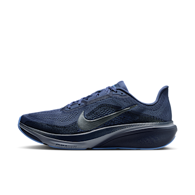 AIR+ZOOM+PEGASUS+42.png